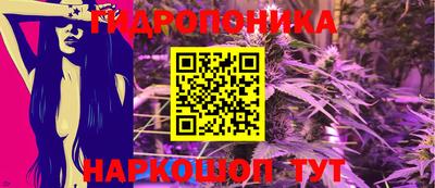 трава Кинель