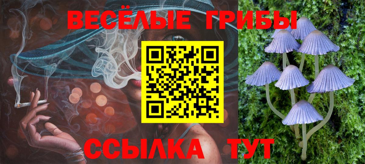 купить наркоту  Вход с VPN  Кизилюрт  Псилоцибиновые грибы ЛСД 